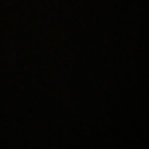 Meet your Posher, Gigi